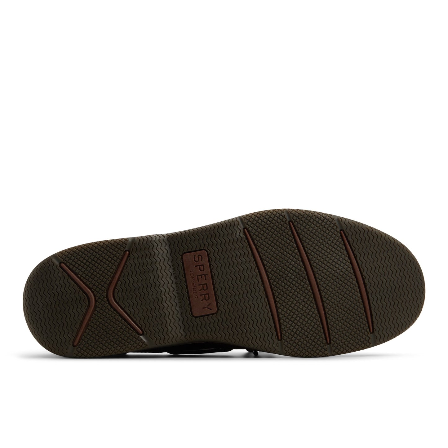 Surveyor2eye Dark Brown Men's Leather | Sperry Sale