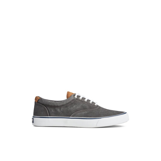 Striperiictx Black Unisex Sneakers | Sperry US
