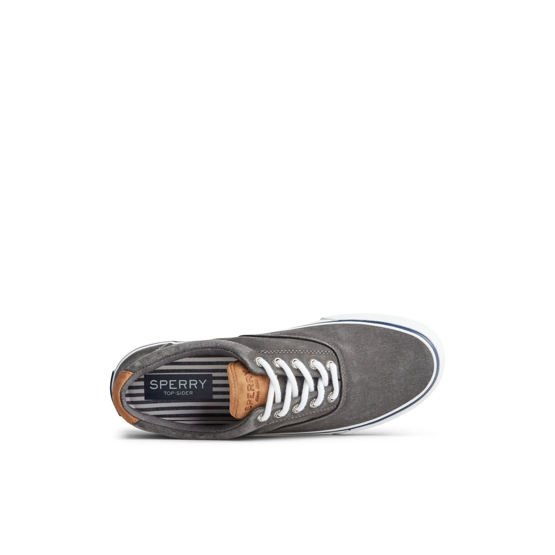 Striperiictx Black Unisex Sneakers | Sperry US