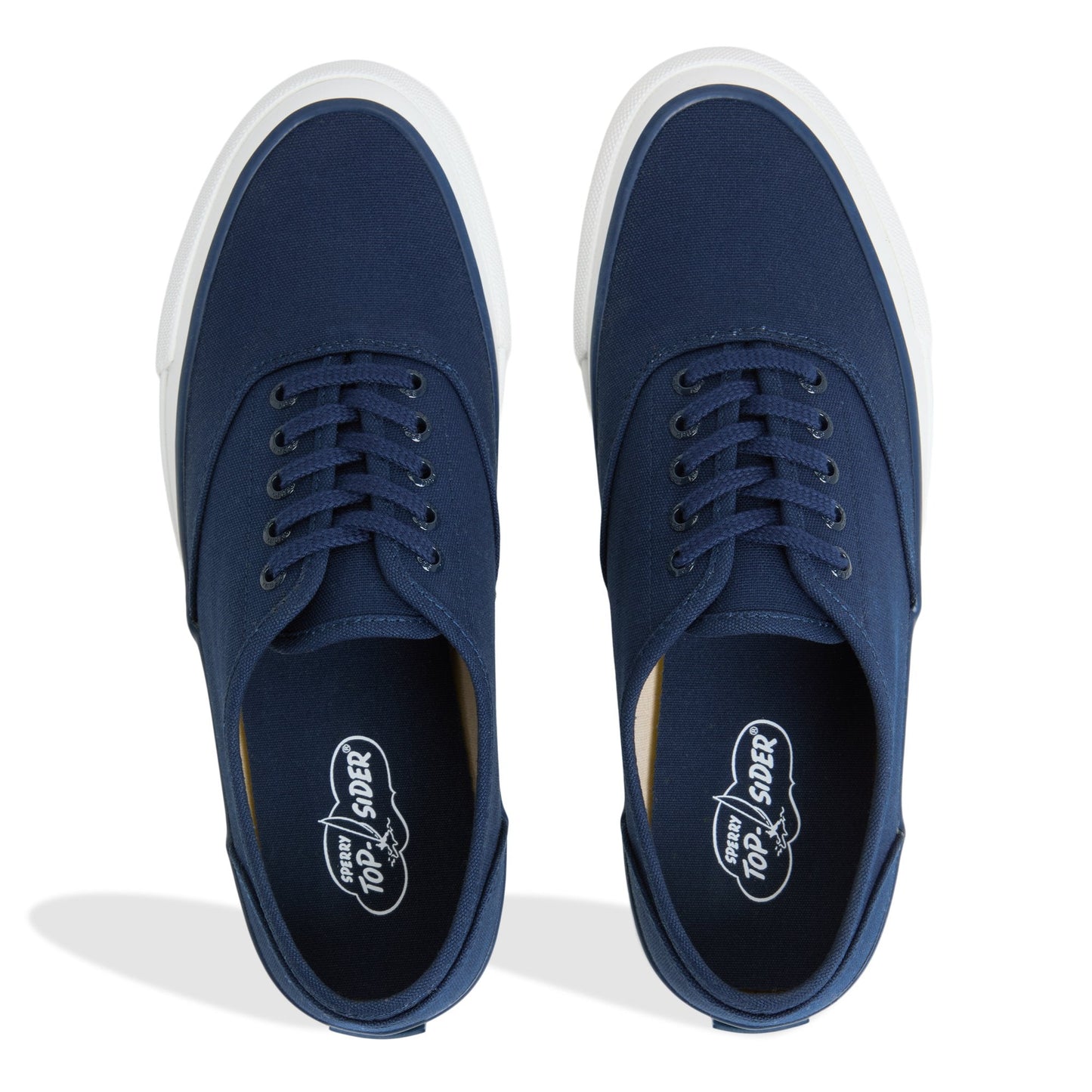 Top Sider CVO Sneaker Navy | Sperry For sale
