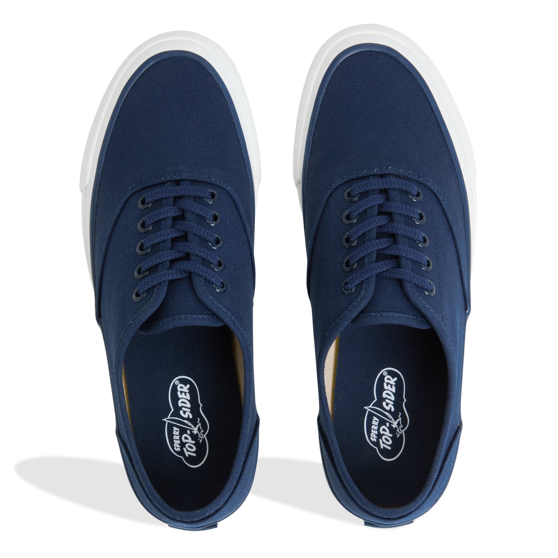 Top Sider CVO Sneaker Navy | Sperry For sale
