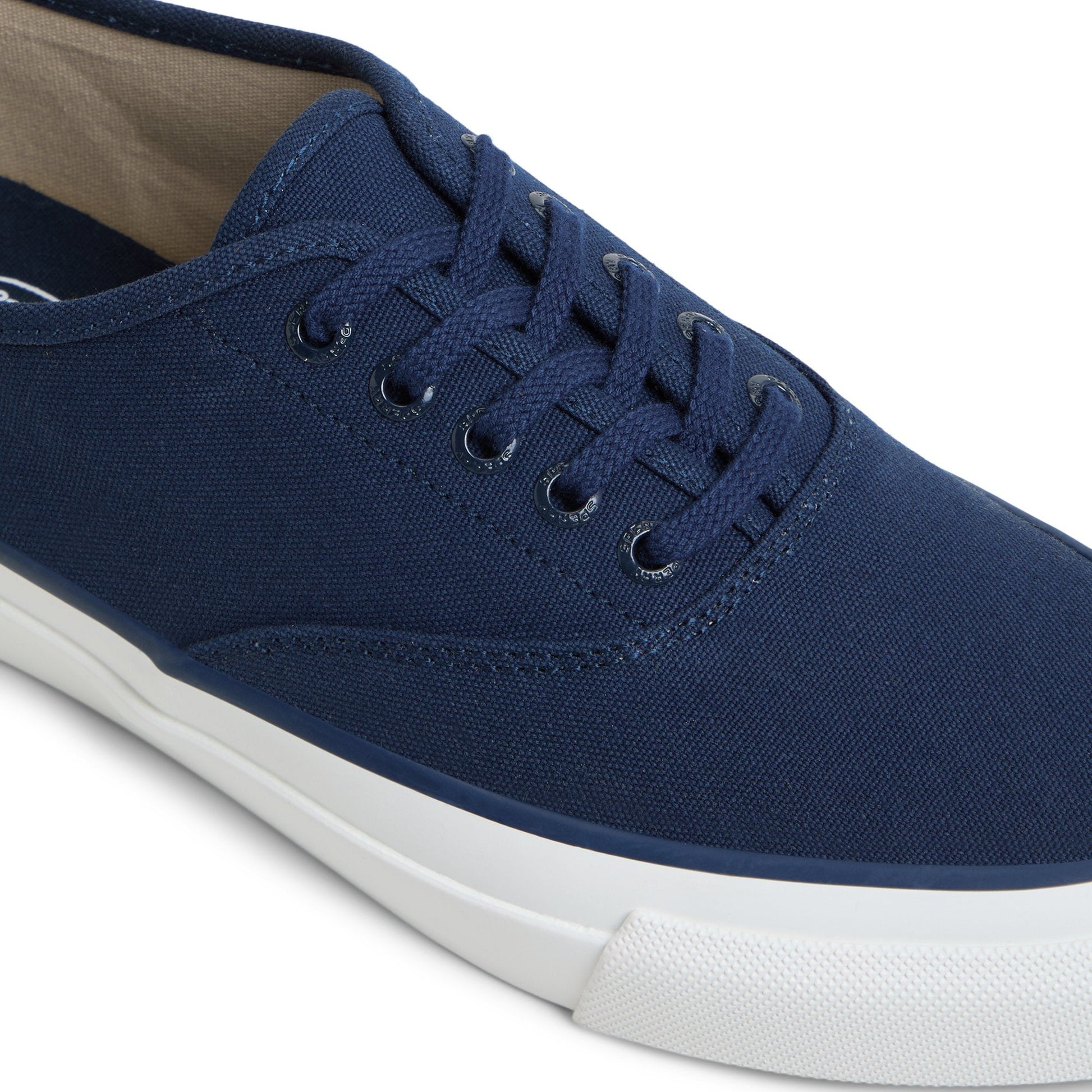 Top Sider CVO Sneaker Navy | Sperry For sale