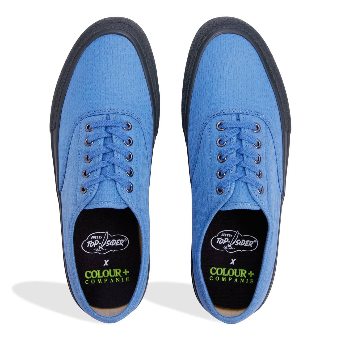 Cpc cvo Blue Men's Sneakers | Sperry Online